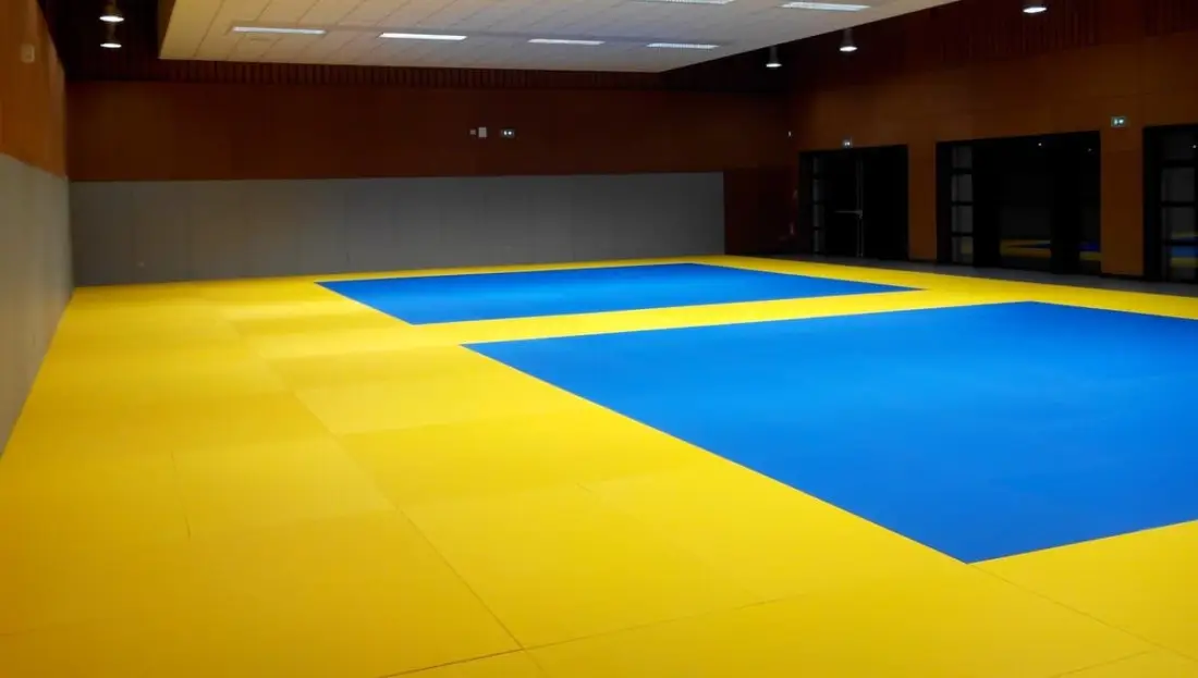 judo club terres de montaigu
