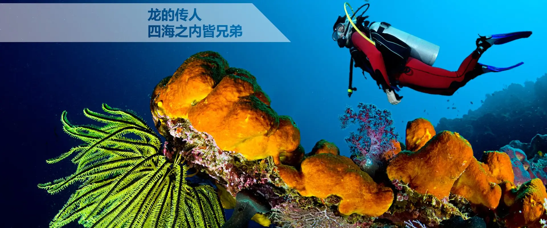 (7 Scuba)