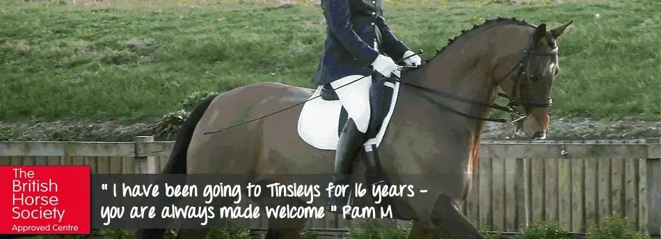 Tinsleys Riding School