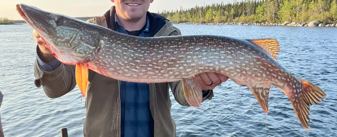Hatchet Lake Lodge