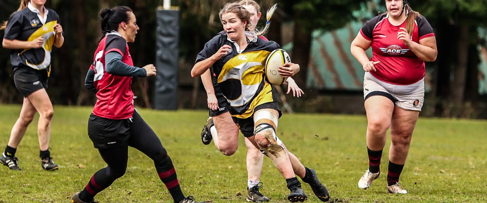 Nanaimo Hornets Rugby Club