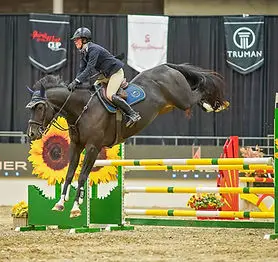 Biron Equestrian