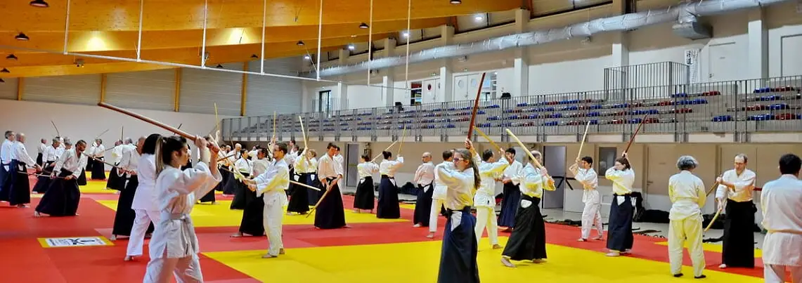 Aikido Greater Lyon Epa-Ista