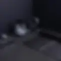 Fitness potential