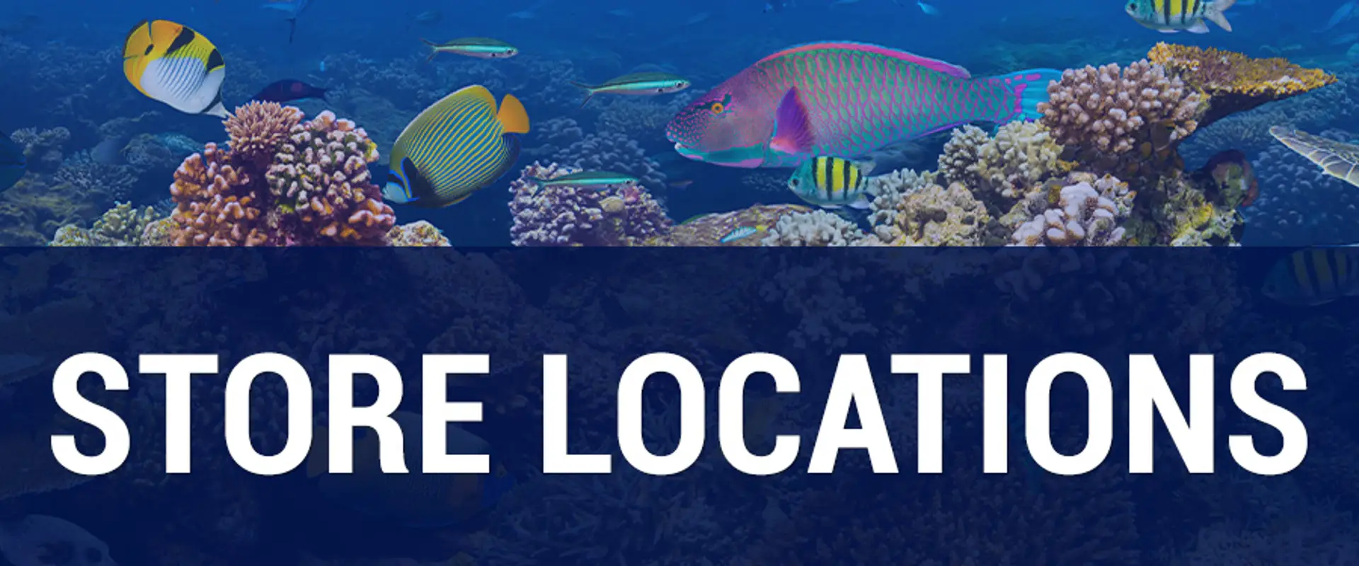 Big Al's Aquarium Supercentres - Vaughan