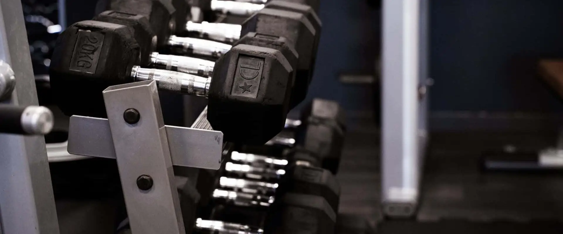 Area Sports Club 🏋️
