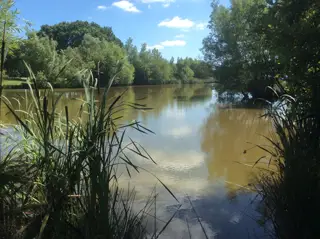 Blacklands Fishing