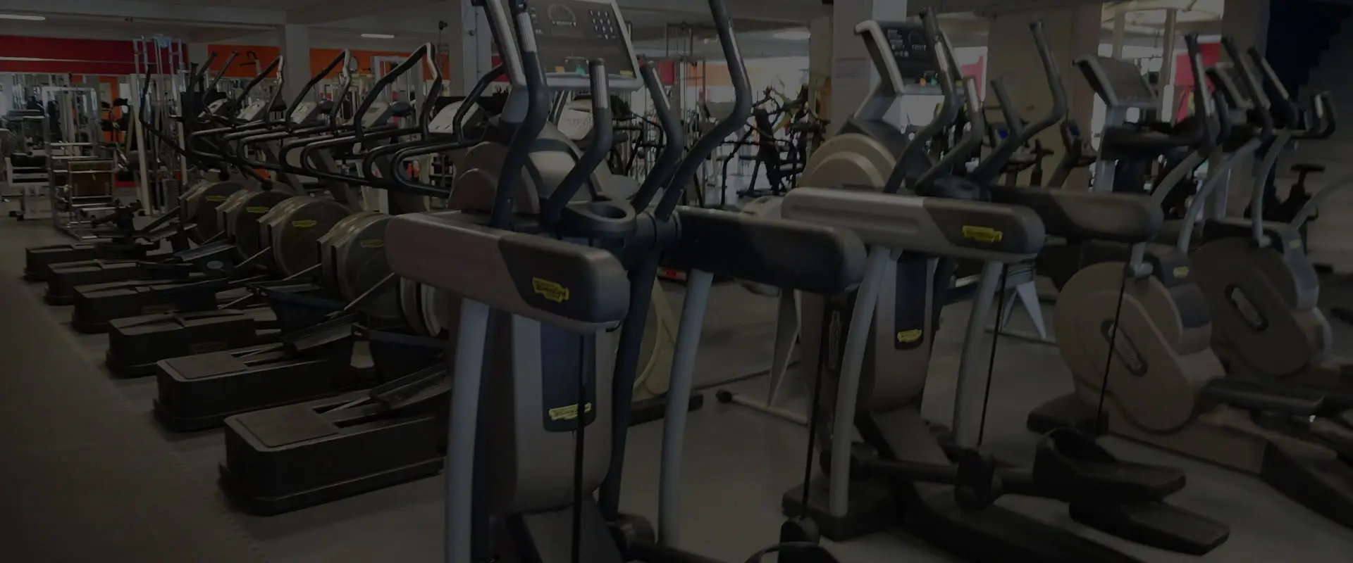 Gym's New Form's