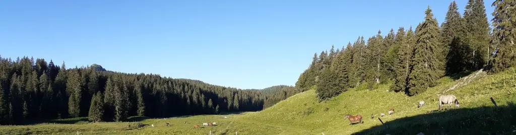 Ferme Equestre du Berbois