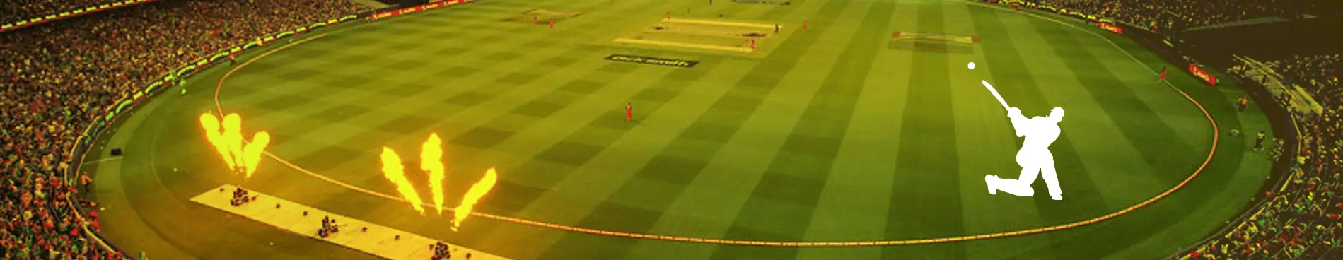 Turf Cricket Academy