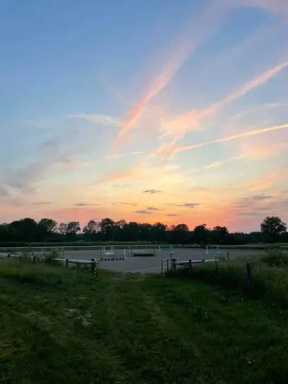 Pine Hollow Stables
