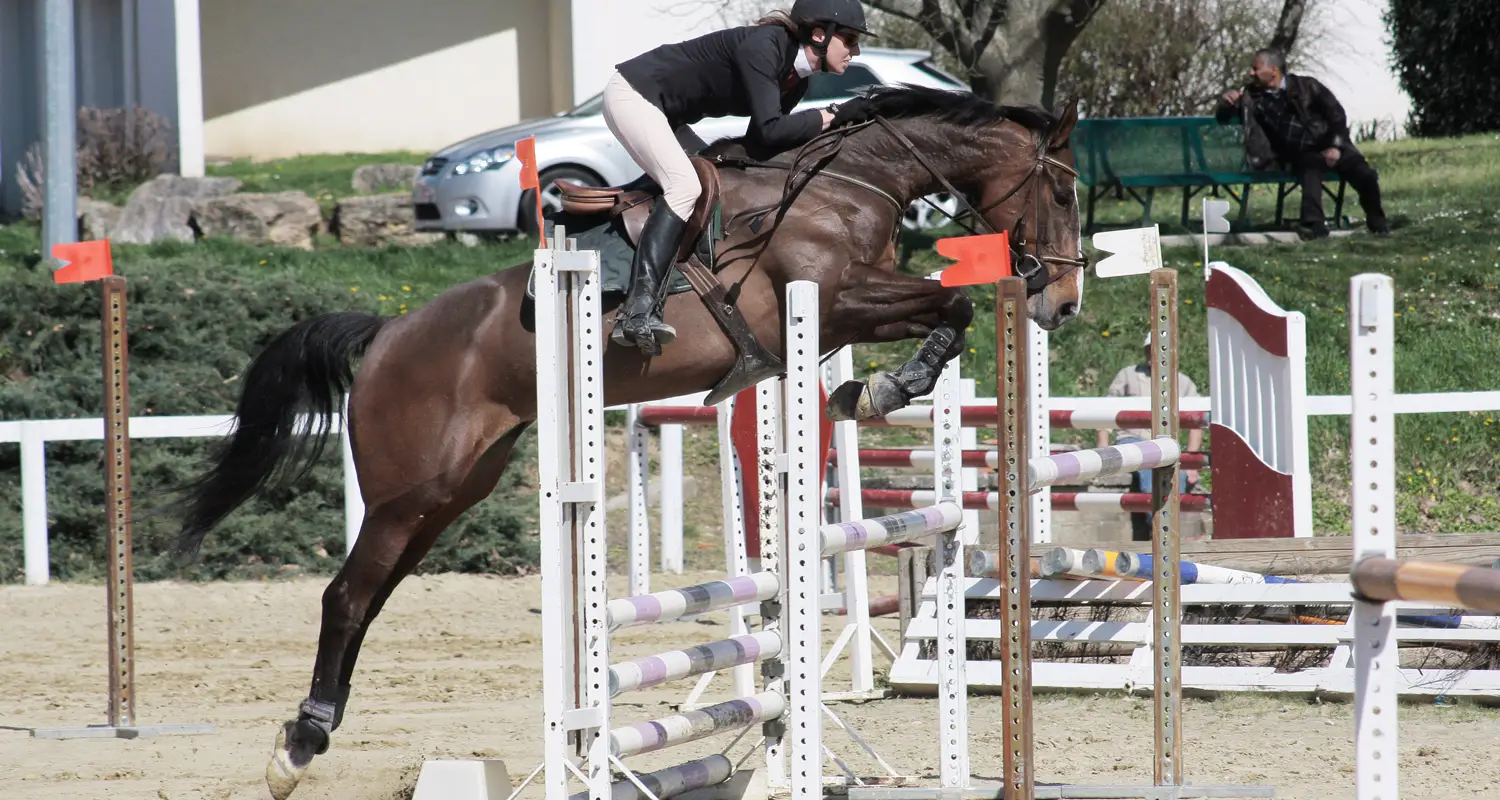 CENTRE EQUESTRE DES MILLIERES