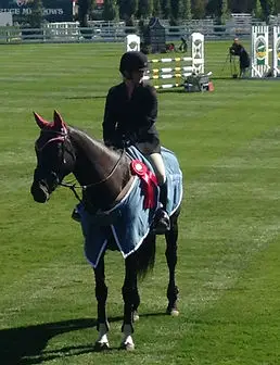 Riqueza Riding Academy Ltd