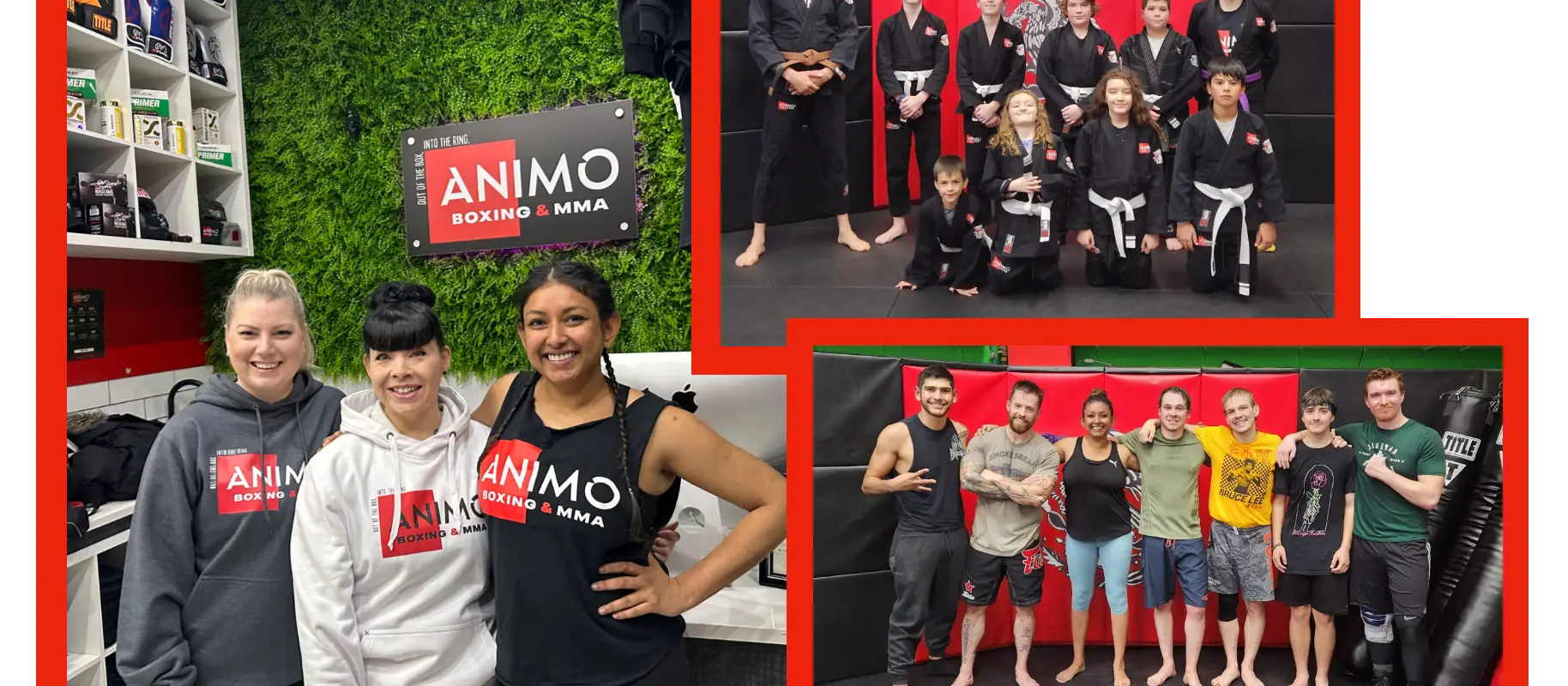 ANIMO Boxing & Mixed Martial Arts Gym
