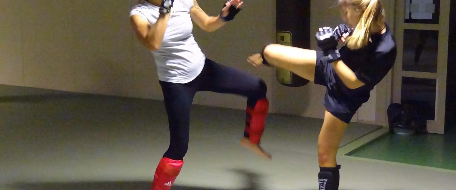 Self-Defense Villemoustaussou