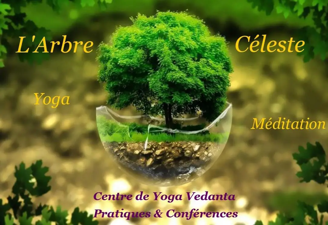 L'Arbre Céleste Cognac-Yoga Ashvattha
