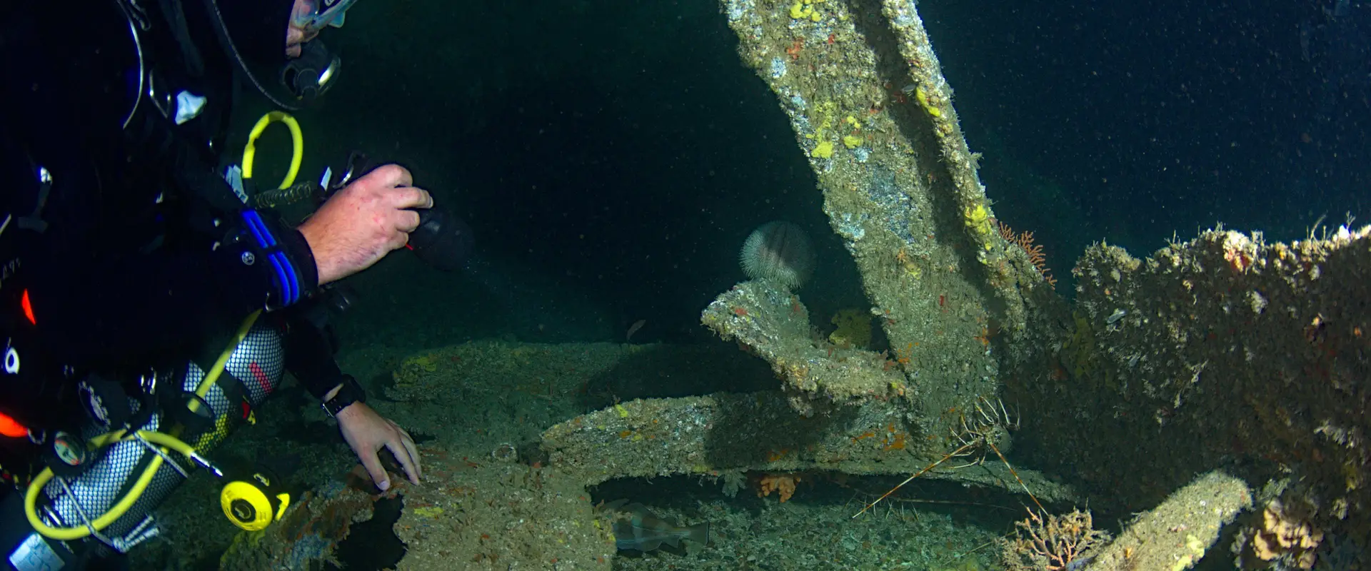 Underwater Diving Group Morlaix Plouezoc'h