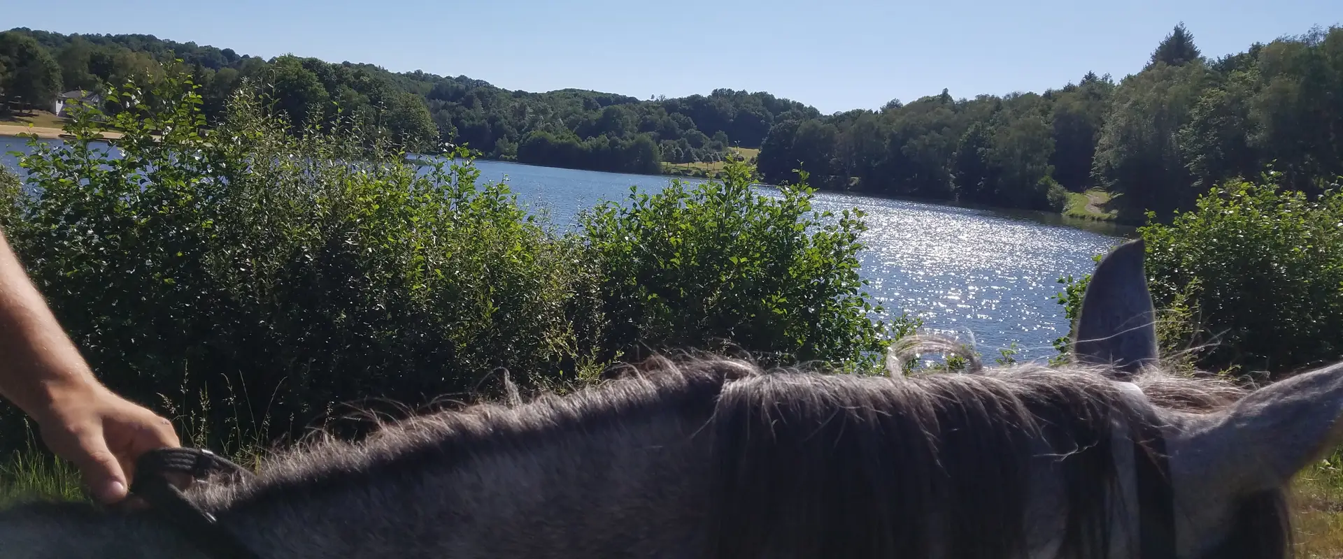 Horse Farm Du Bois Vieux