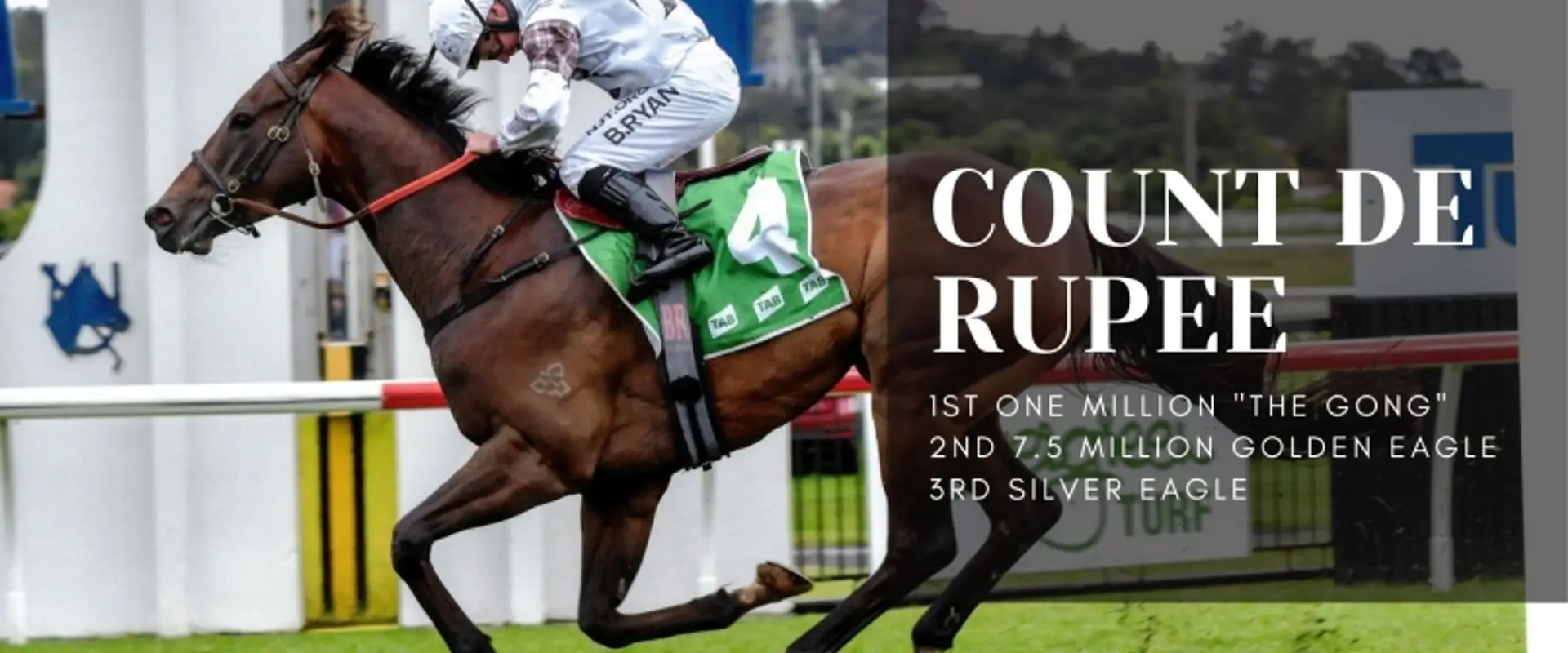 Robert & Luke Price Racing - Horse Training, Riding, Professional Trainers Berry