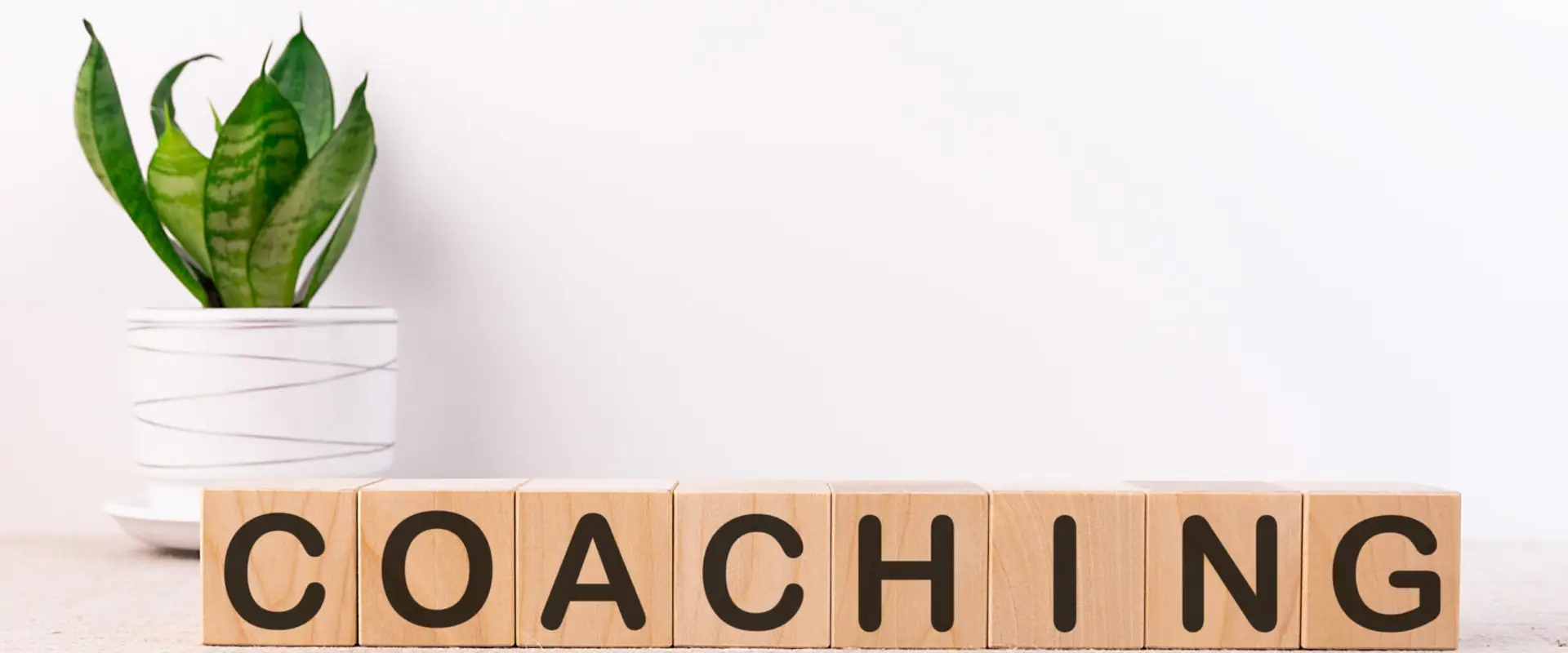 Charlotte Grenier coach de vie