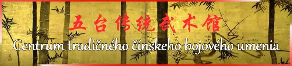 SVETOVÁ ASOCIÁCIA TAJČI CHEN XIAO WANG SLOVENSKO