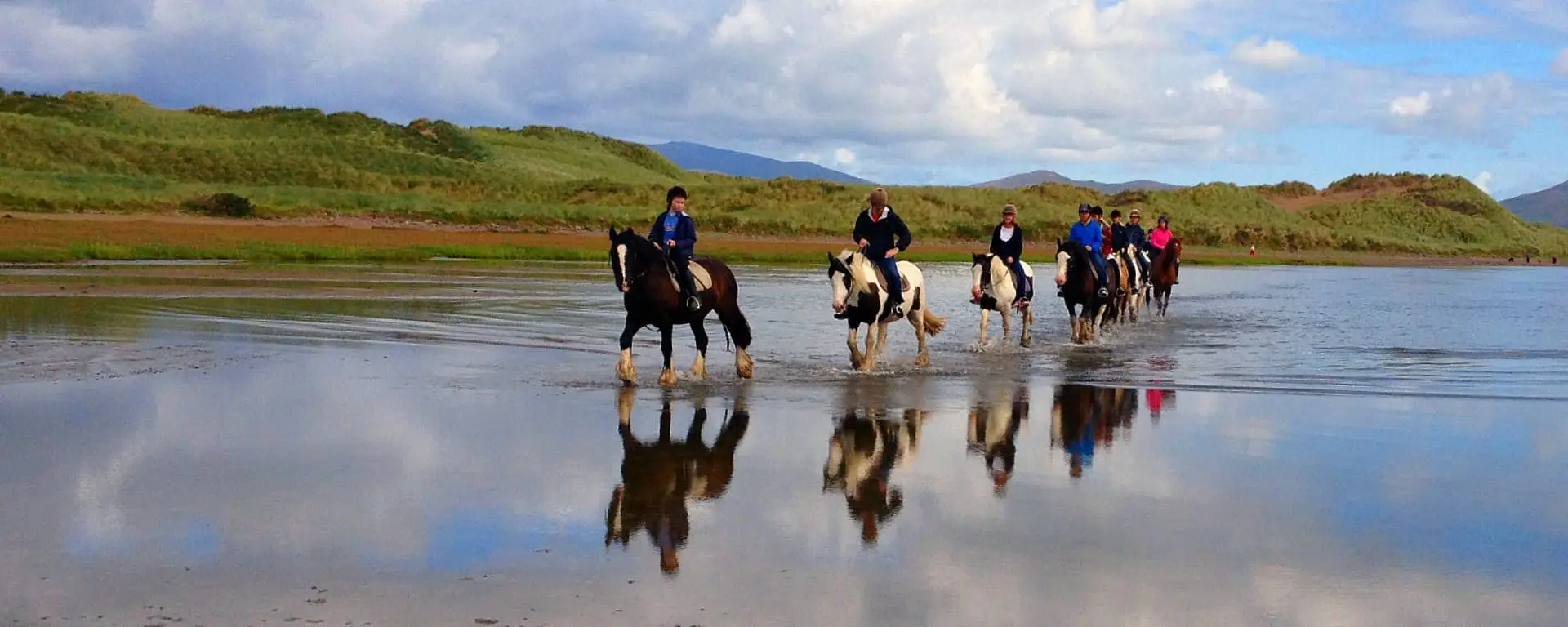Aire Association of Irish Riding Establishments