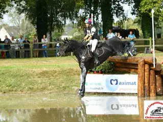 Horse Feel-Eventing