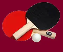 Hermits Table Tennis Club