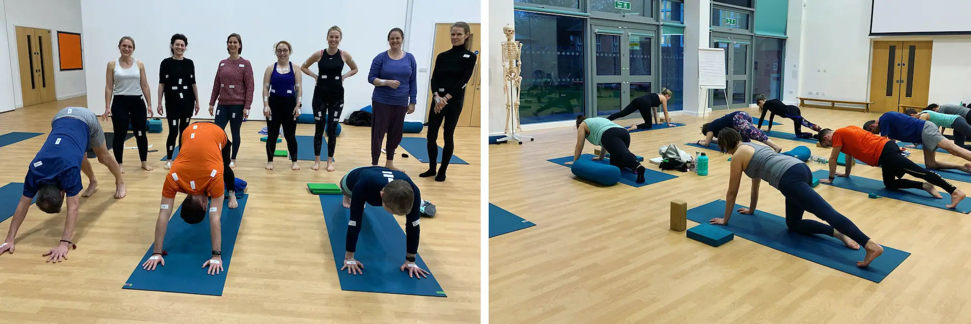 Yoga @ MA&Y