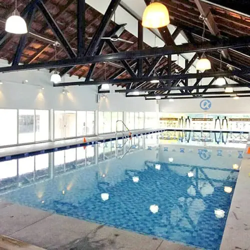 Happy Fish Swim School (Horsecity)
