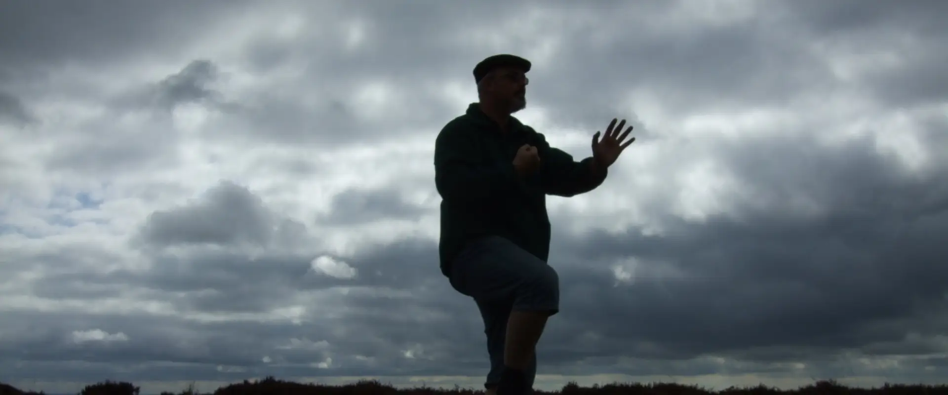 Peaceful Warrior Tai Chi