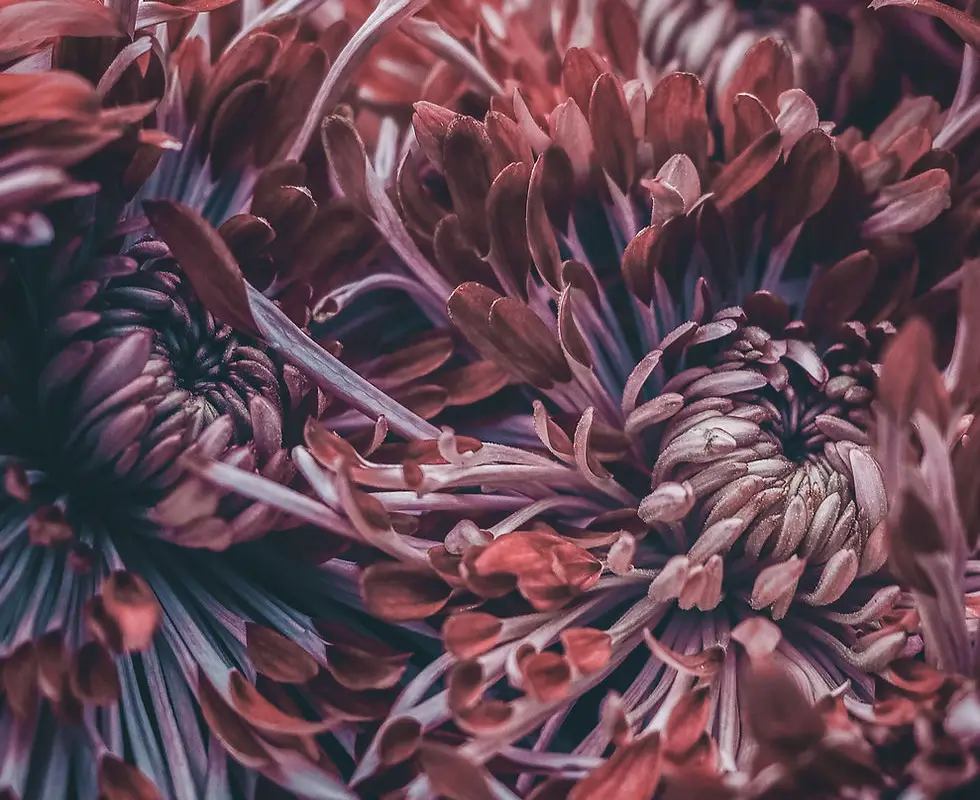Yoga Fleur