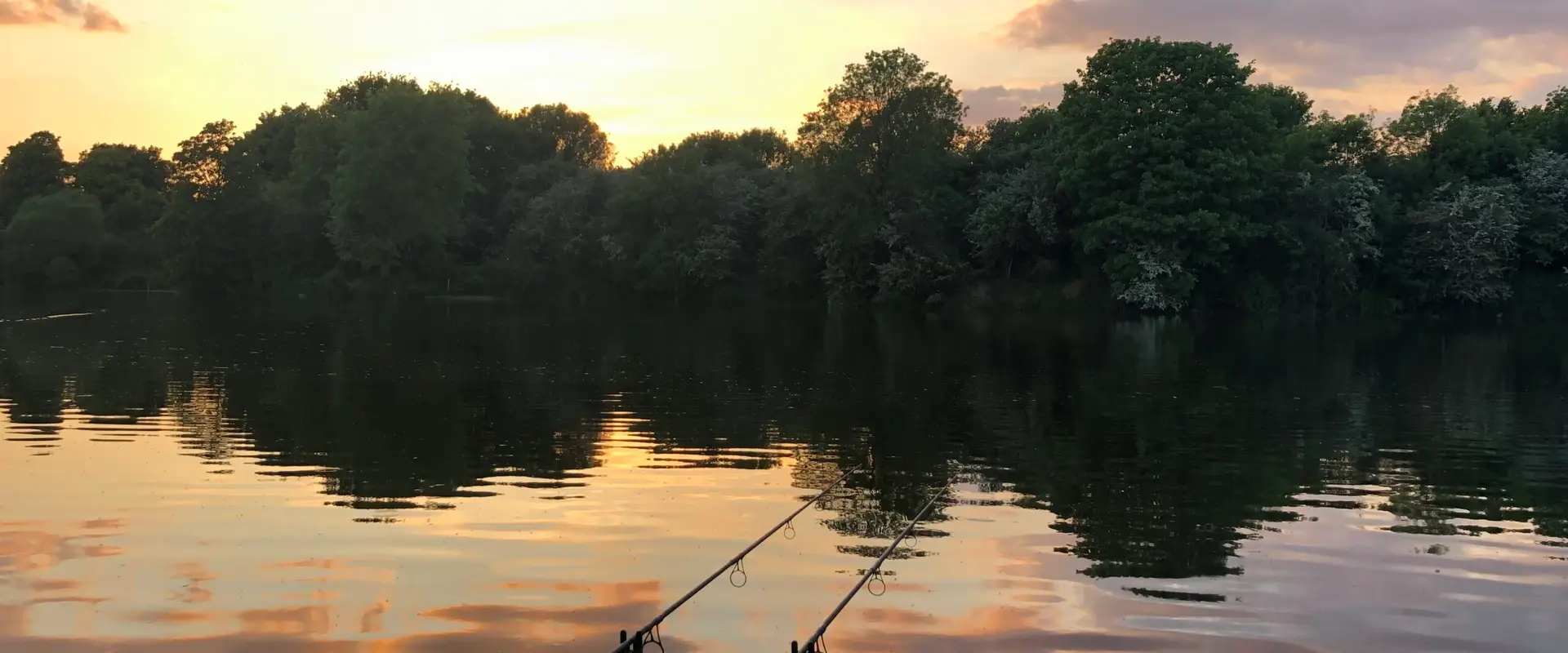 THE BARNES AND MORTLAKE ANGLING AND PRESERVATION SOCIETY