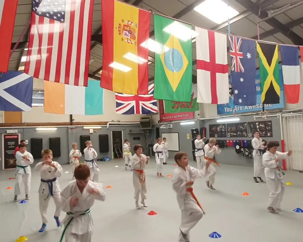MSD Evolution Kickboxing Gym