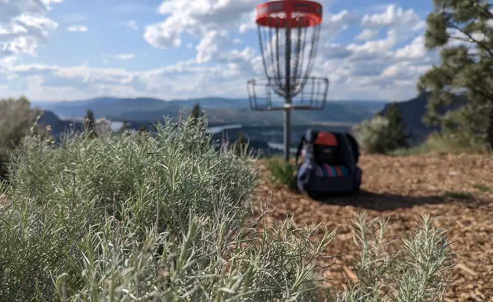 McArthur Island Disc Golf Course