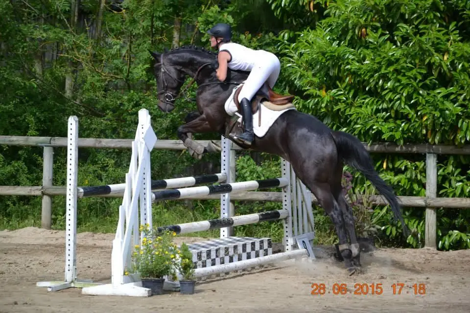 Centre Equestre de Crézancy