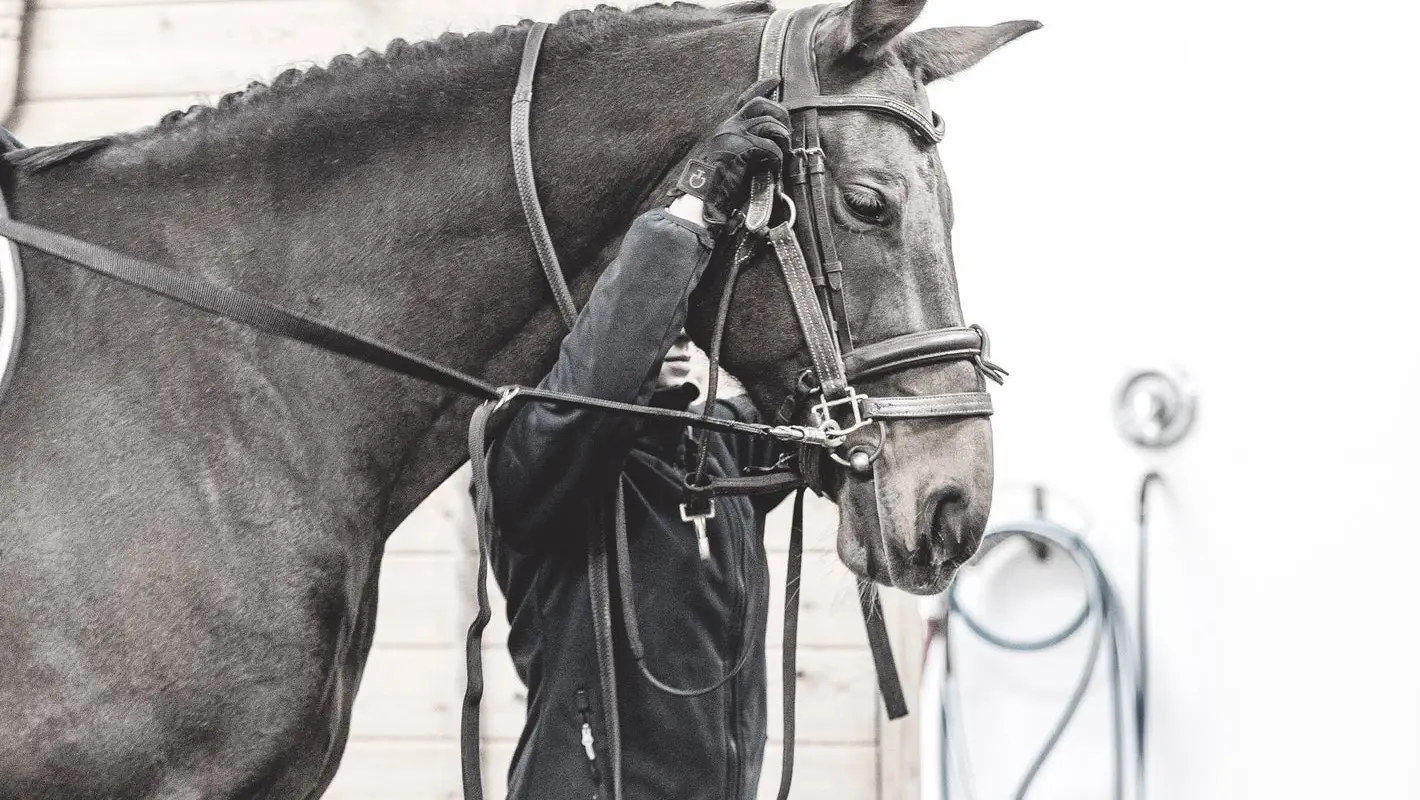 Centre Equestre Notre-Dame Inc