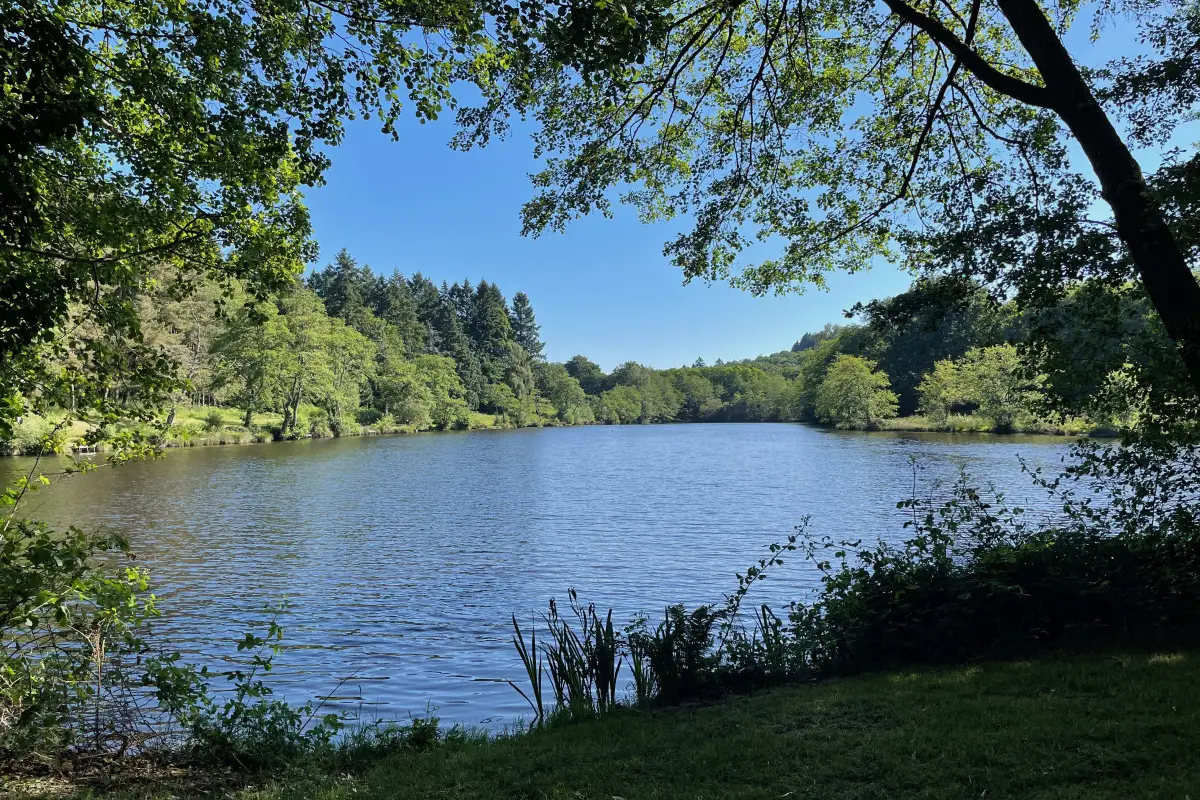Redwood Lake