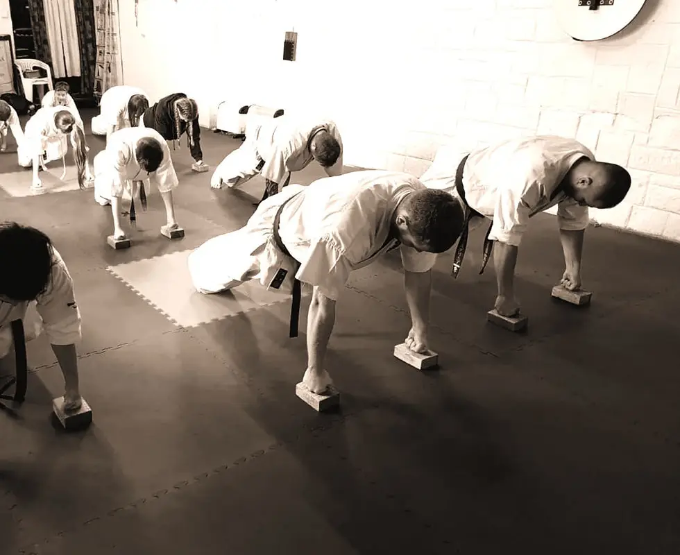 Chikara Dojo