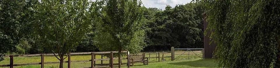 Eden Meadows Riding Centre