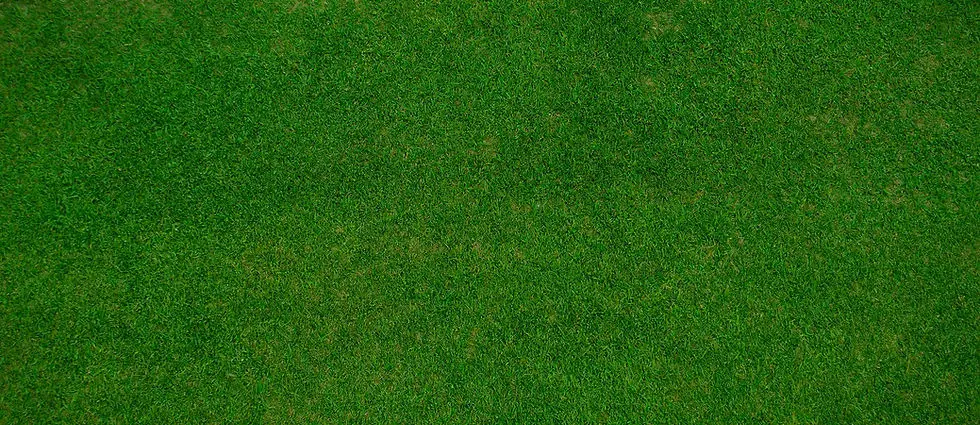 Dean Bowling Club