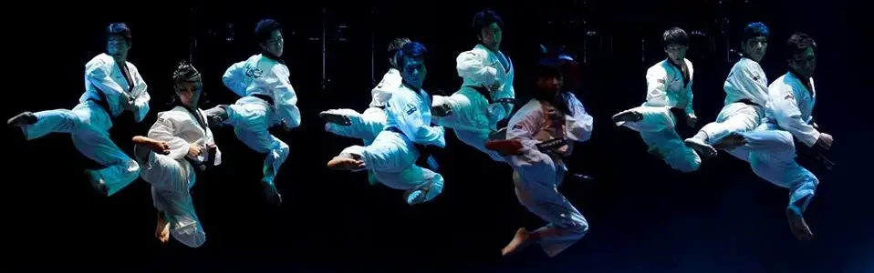 Taekwondo Cergy Ferana