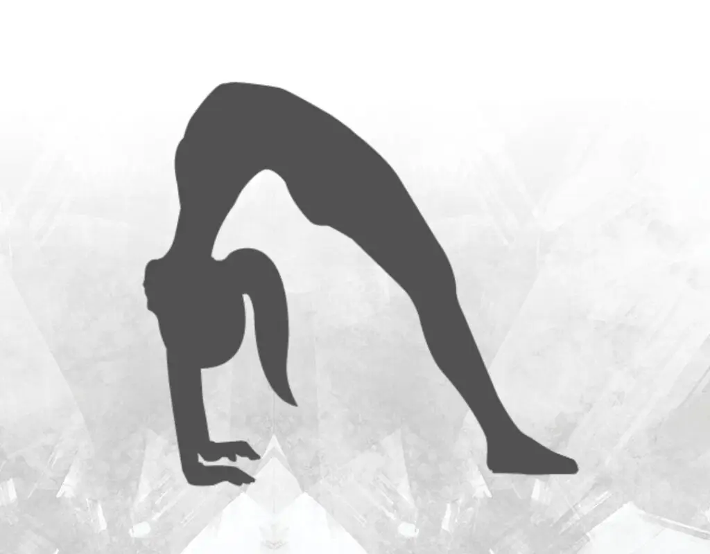 TRIBE Fitness and Dance Studio
