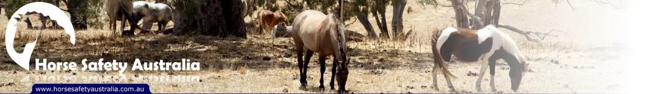 Horse Safety Australia