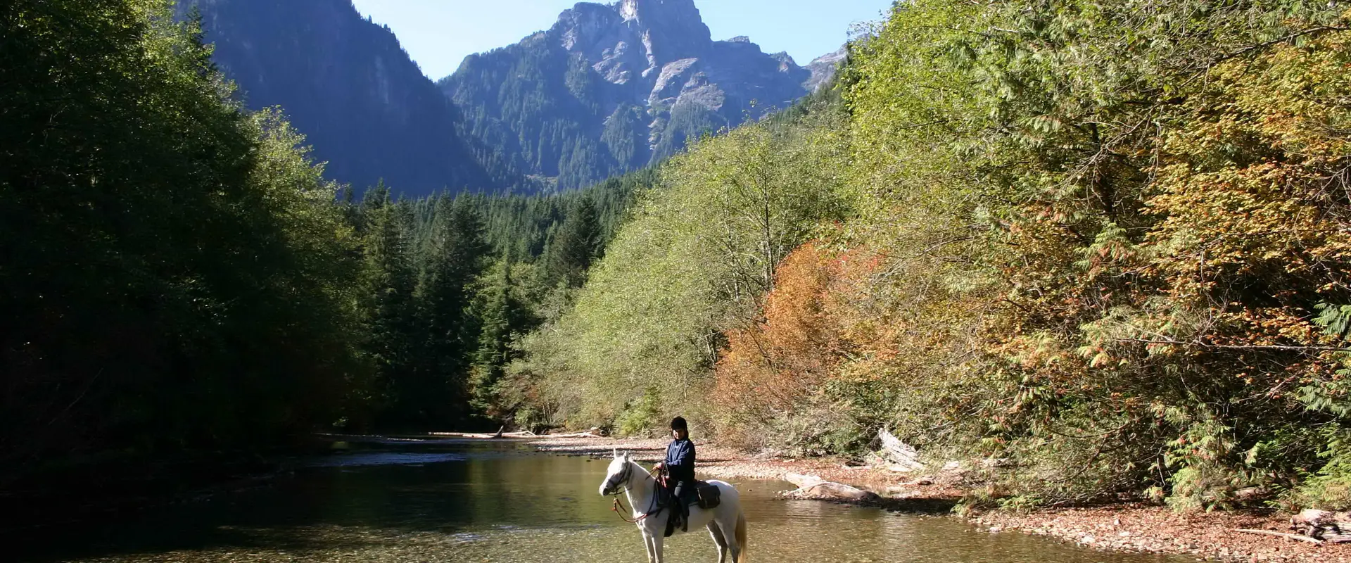 Mustang Ranch & Riding Stables
