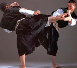 Martial Arts / Shorinji Kempo