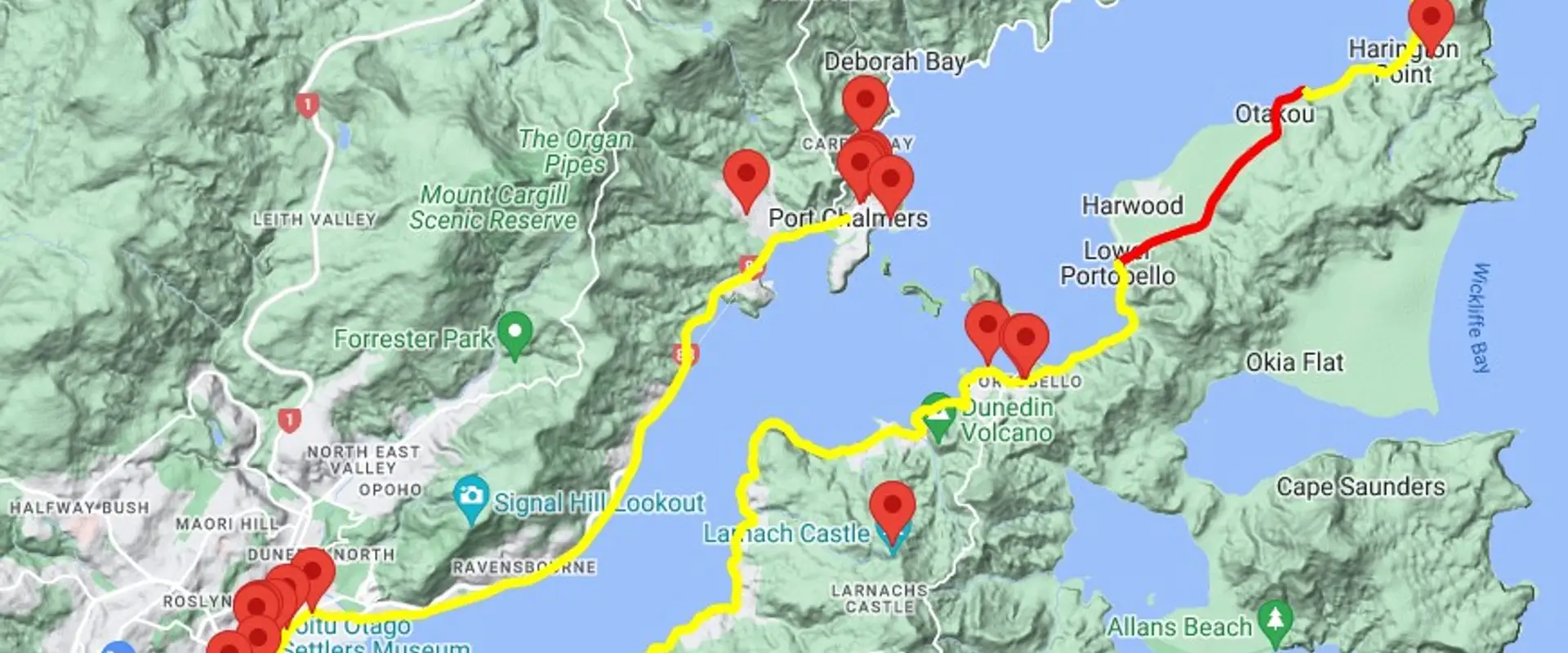 Cycle The Loop Dunedin
