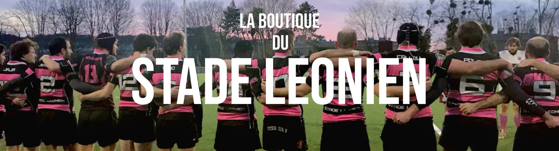 Stade Léonien