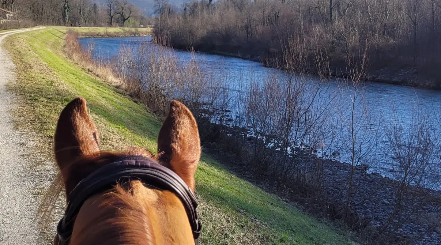 Equestrian Club 4 Fers