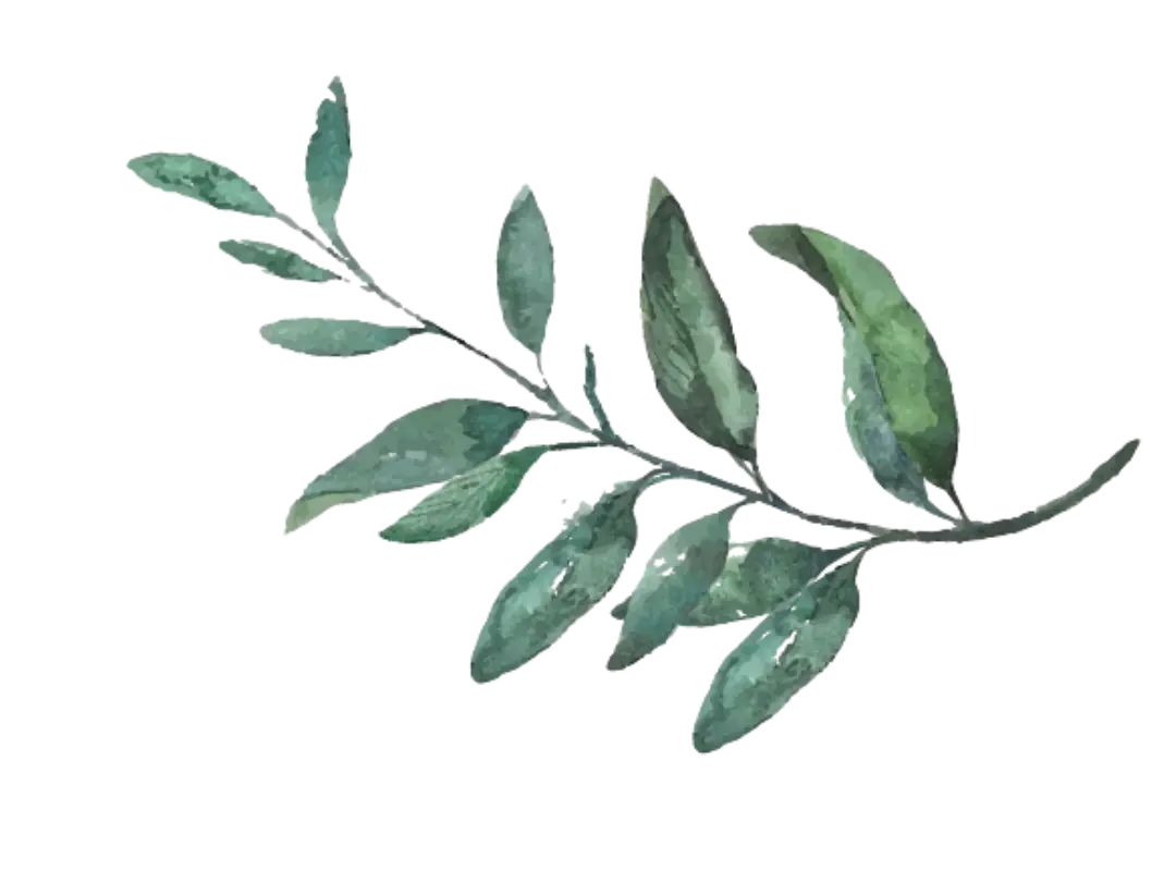 Tea Tree Wellness